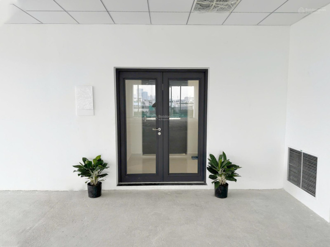 khi doanh nghiệp công nghệ cần môi trường vận hành ổn định hơn địa chỉ đẹp